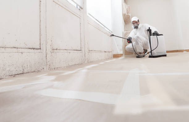 24/7 Emergency Mold Cleanup experts in Dimondale, MI
