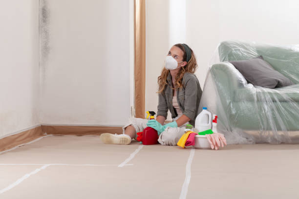 Reliable Mold Cleanup contractor in Dimondale, MI by WQB Mold Removal